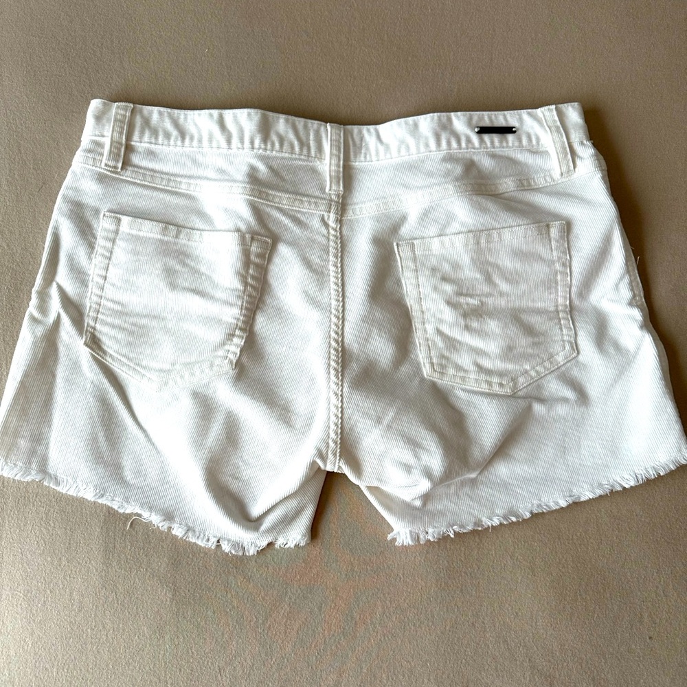 Carve Design Oahu Short
